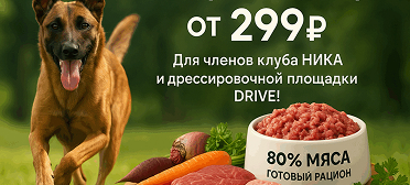 Перейти к предложению