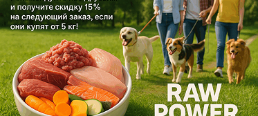 Перейти к предложению